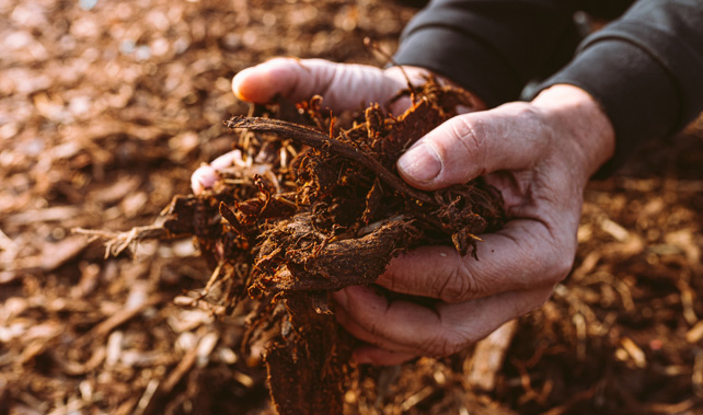 Mulching at TRY Greenwaste Recycling Albury Wodonga